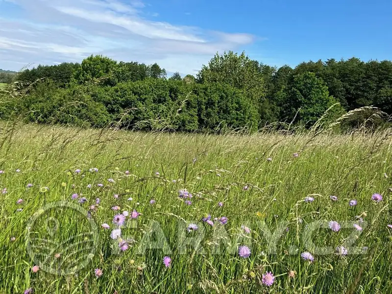 Prodej louky 12974 m², Kouřim – náhled fotky 3