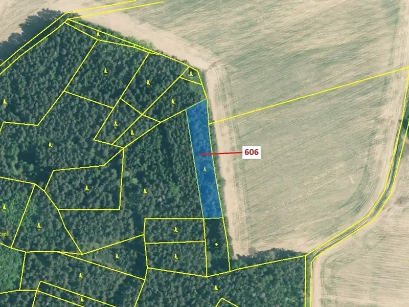 Dražba lesa 2526 m², Kuřimany – náhled fotky 2