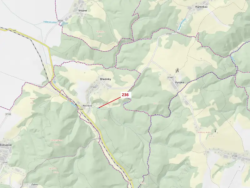 Dražba lesa 813 m², Březinky – náhled fotky 1