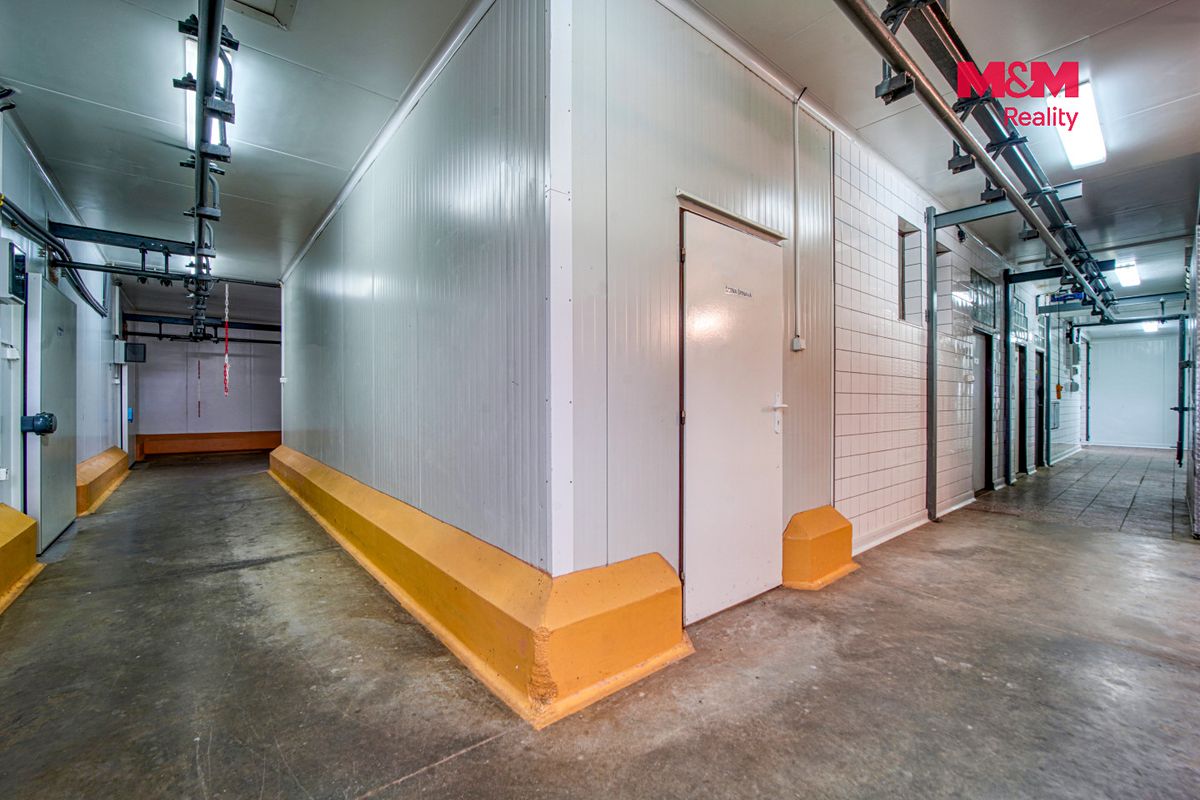 Prodej výrobní haly, prostoru 377 m² – fotografie 3