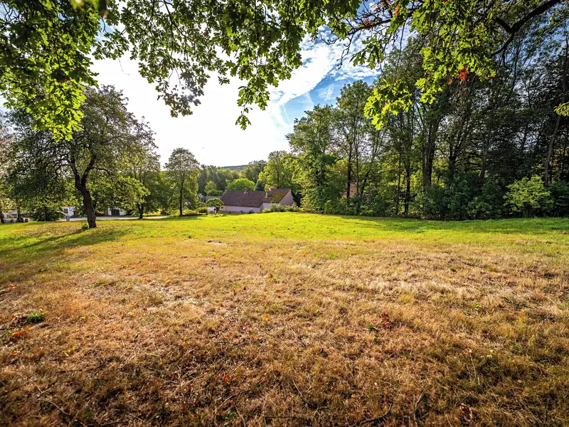 Prodej stavebního pozemku 4931 m², Čestice – náhled fotky 1