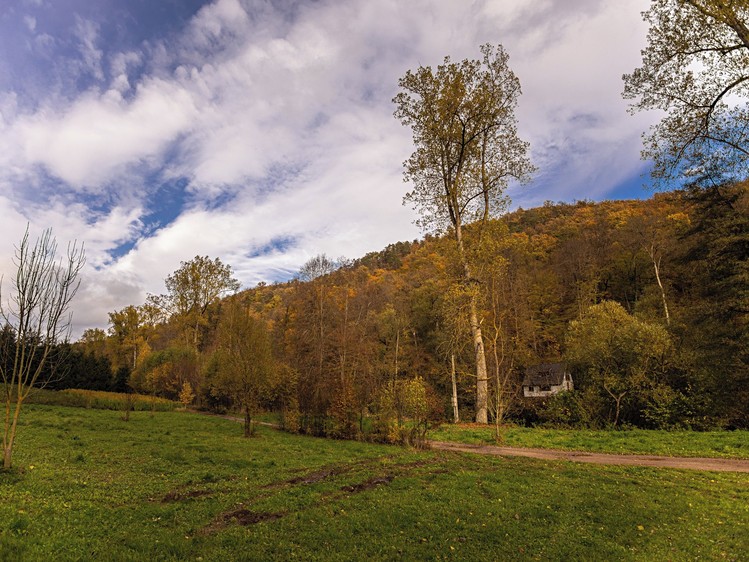 Ostatní