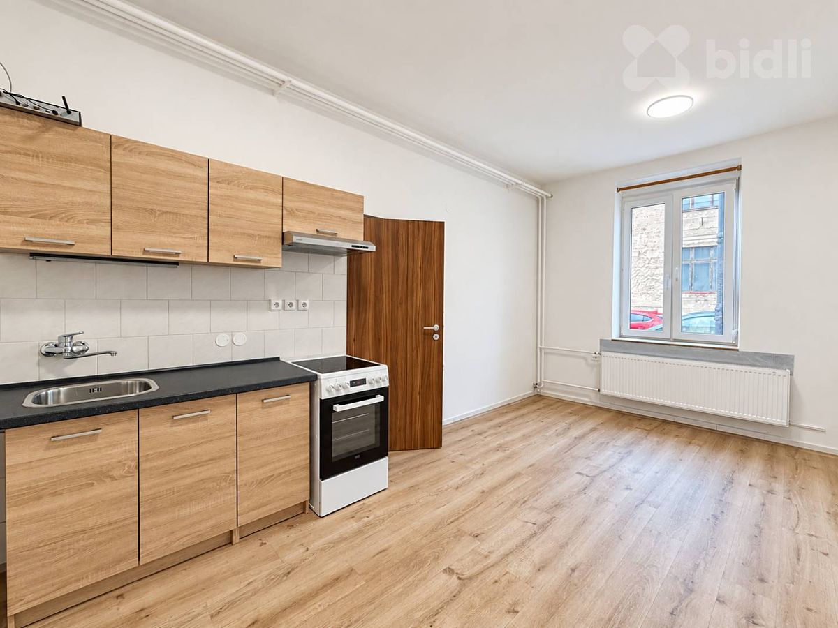 Pronájem bytu 1+1 30 m²