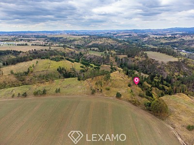Prodej podílu 4/5  lesa 3 047 m²