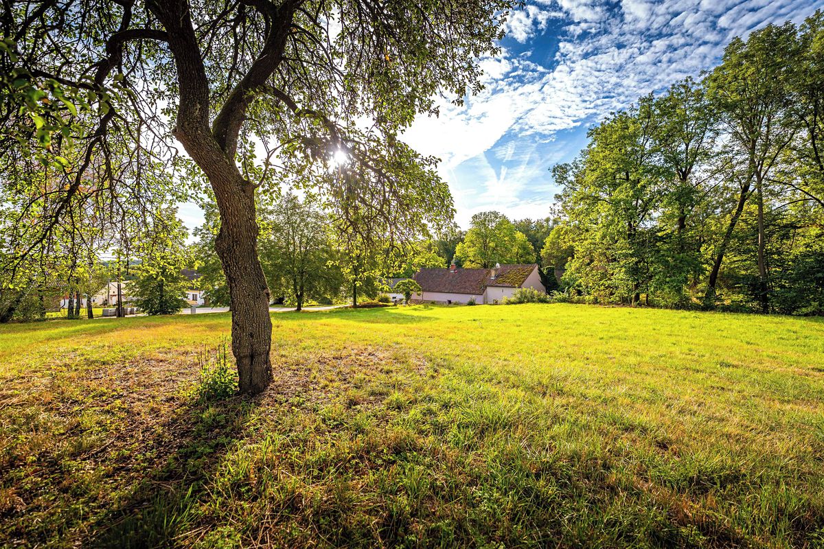 Prodej stavebního pozemku 4931 m² – fotografie 4