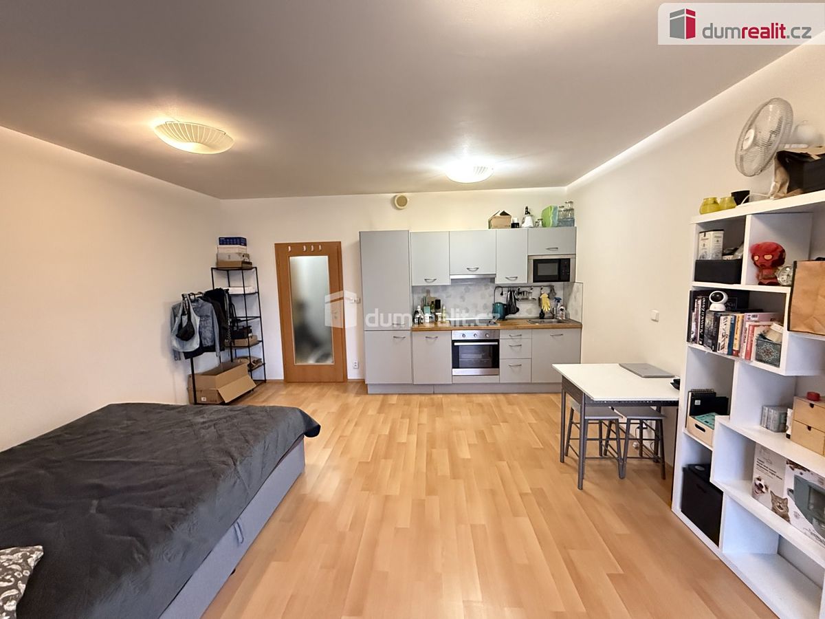 Pronájem bytu 1+kk 39 m²