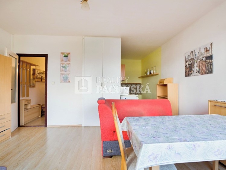 Prodej bytu 1+kk, 32 m² (3 z 16)