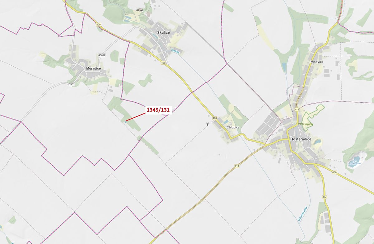 Dražba lesa 432 m², Morašice – fotka 1 z 3