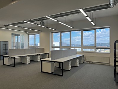Gewerbefläche zur Miete, 313 m² (2 von 5)
