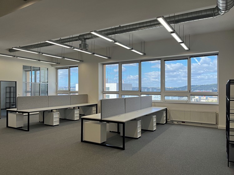 Gewerbefläche zur Miete, 313 m² (2 von 5)