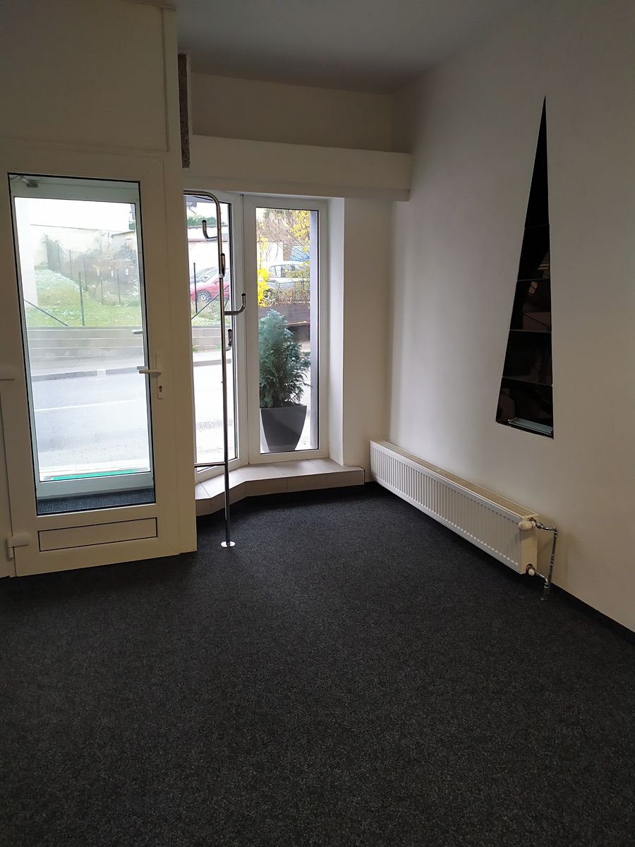 Pronájem bytu 1+kk 28 m² – fotografie 5
