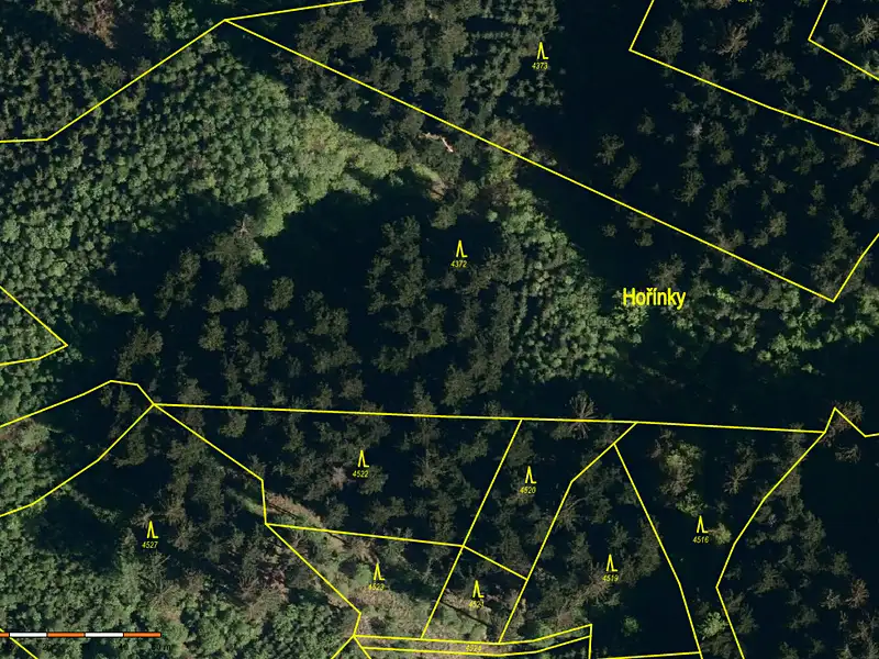 Prodej lesa 38810 m², Valašská Polanka – náhled fotky 3