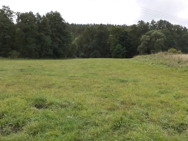 Dražba louky 58887 m², Tachov – náhled fotky 3