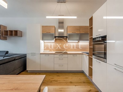 Wohnung 2+kk zur Miete, 61 m² (3 von 16)