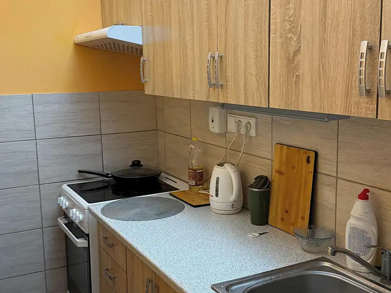 Prodej bytu 1+kk 33 m², Teplice – náhled fotky 2
