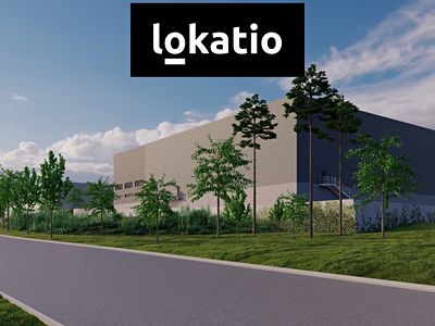 Pronájem výrobní haly, prostoru 31381 m²