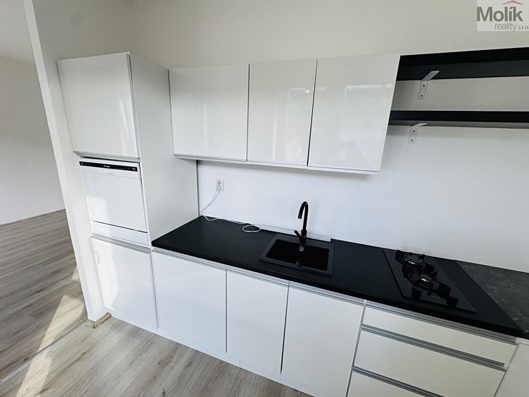 Квартира 1+1 в оренду, 30 м² (2 з 23)