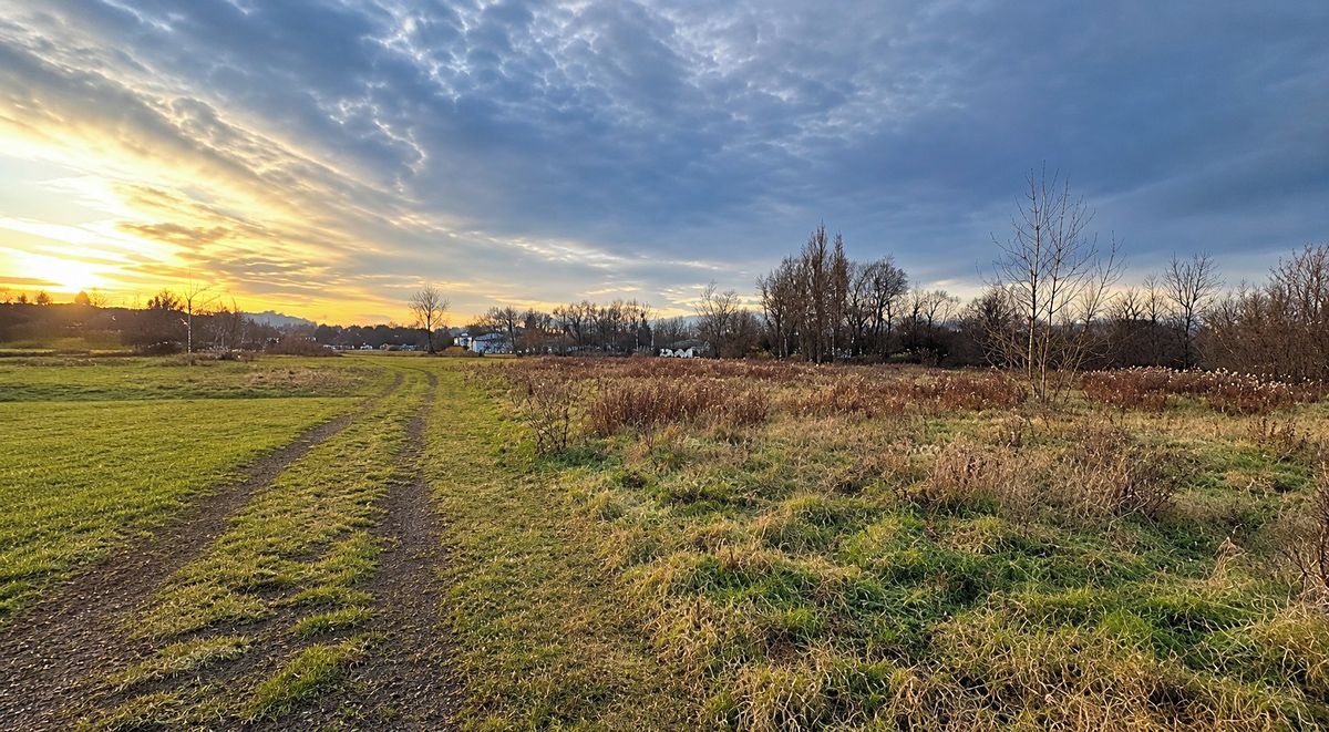 Prodej pozemku 16578 m² – fotografie 3