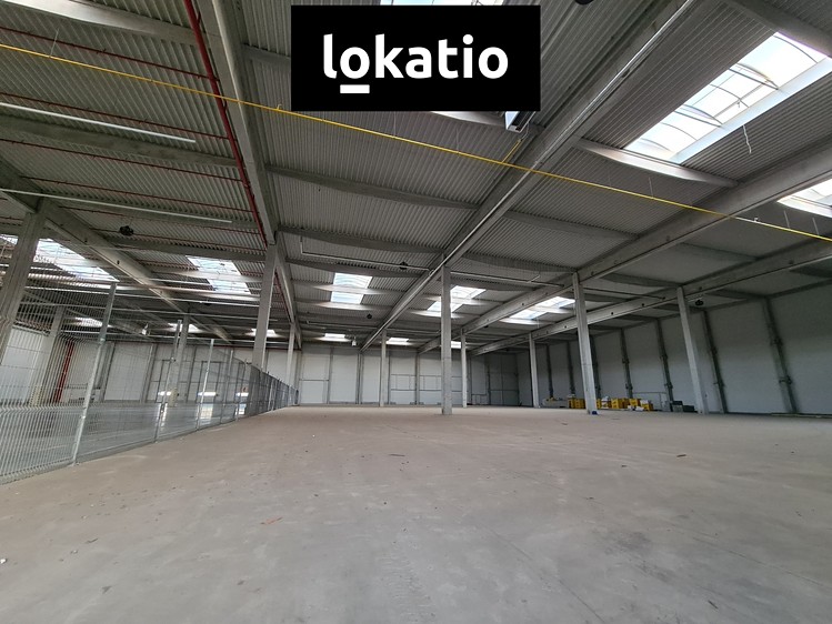 Pronájem komerčního prostoru, 6 166 m² (6 z 7)