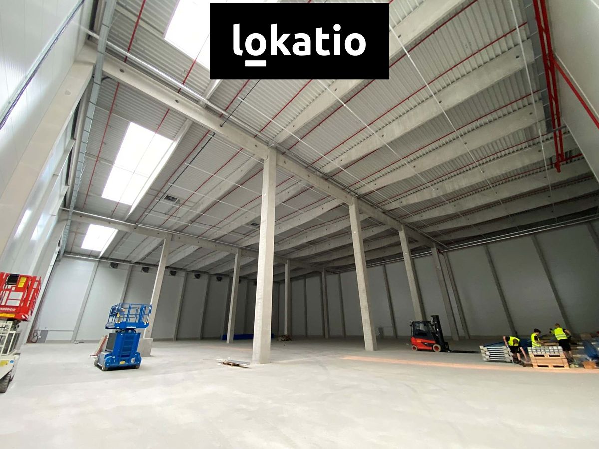 Pronájem skladového prostoru 1000 m², Mohelnice – fotka 1 z 3