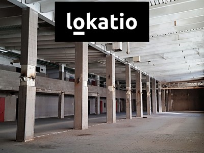 Pronájem komerčního prostoru, 3 000 m² (2 z 13)