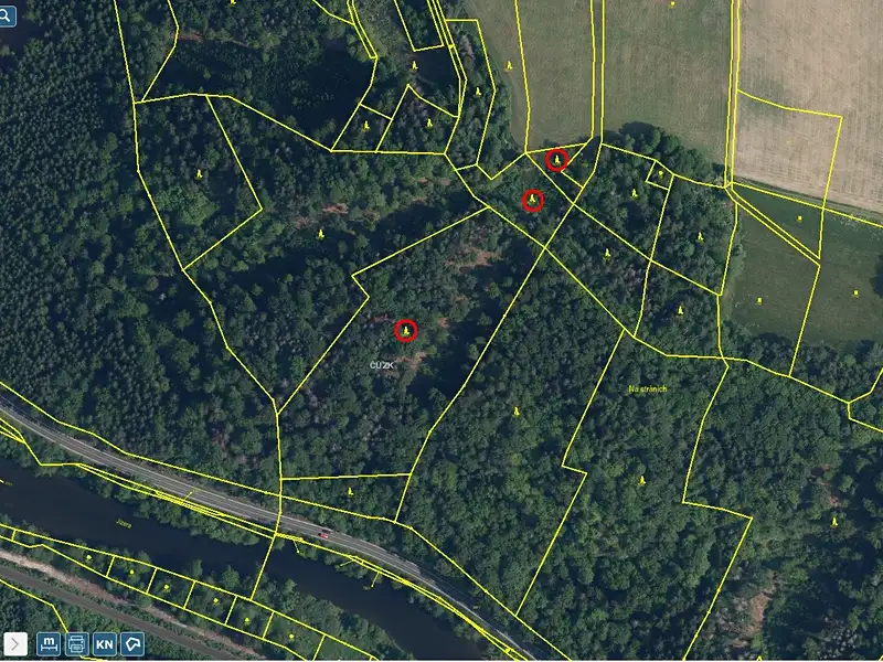 Prodej lesa 23153 m², Železný Brod – náhled fotky 3