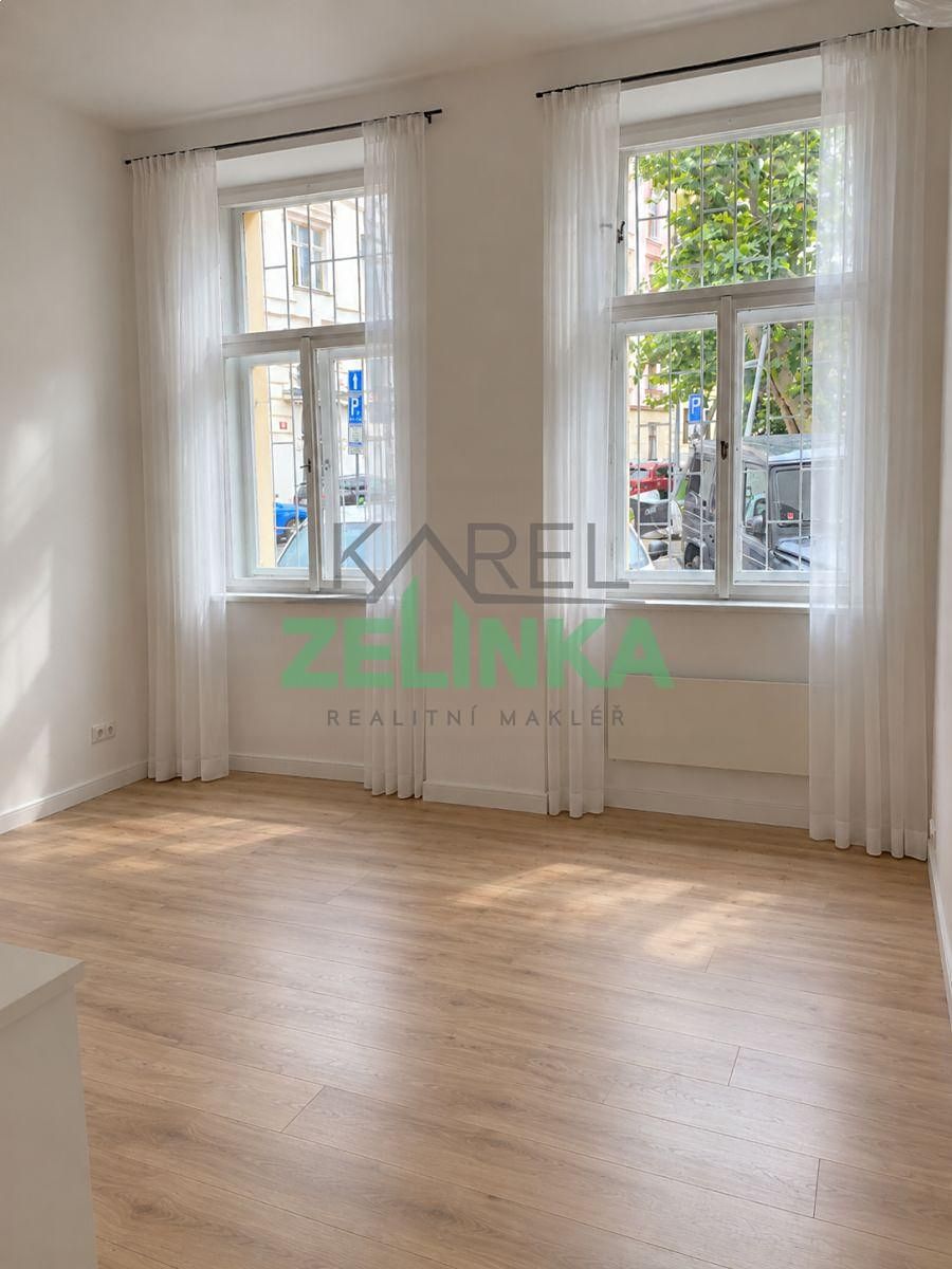 Pronájem bytu 1+kk 20 m² – fotografie 4