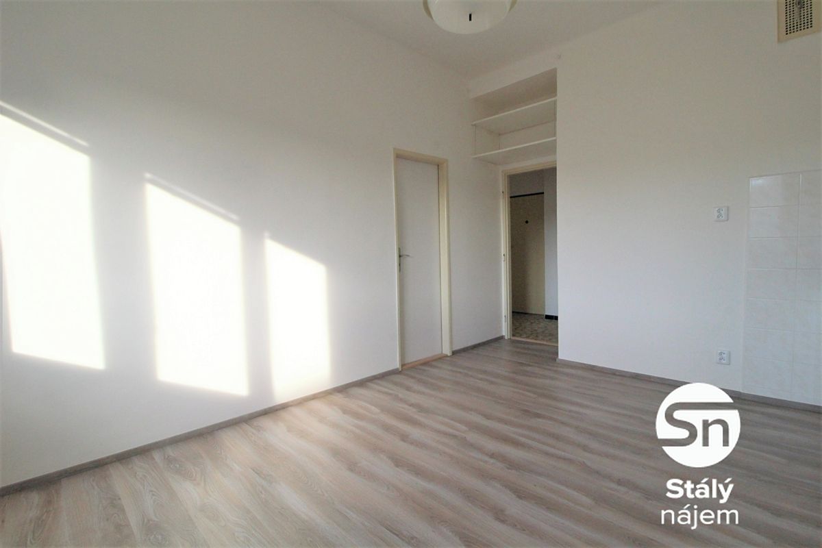 Pronájem bytu 1+1 43 m² – fotografie 4