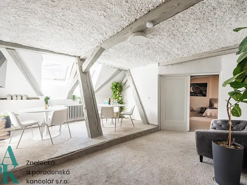 Prodej bytu atypický 169 m², Praha – náhled fotky 3