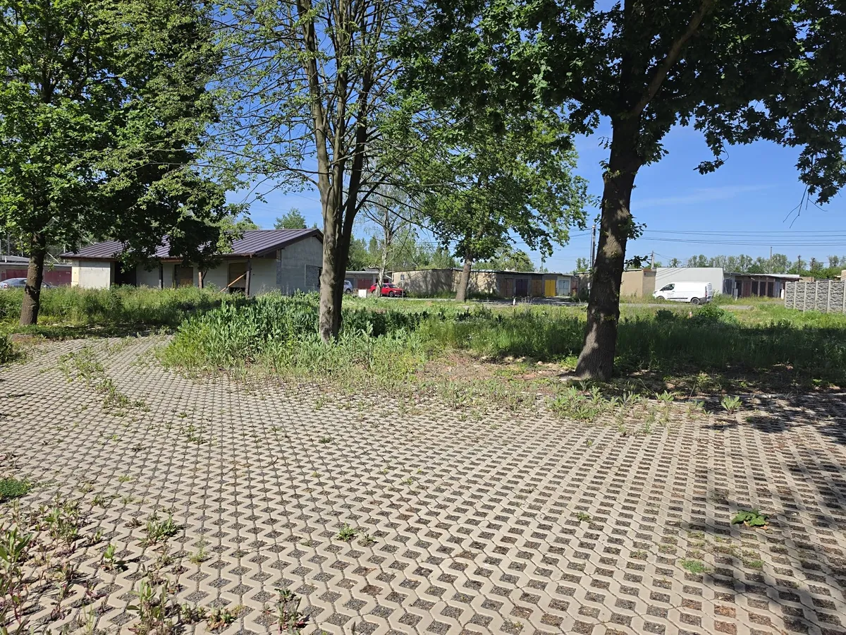 Fotka 13 z 27