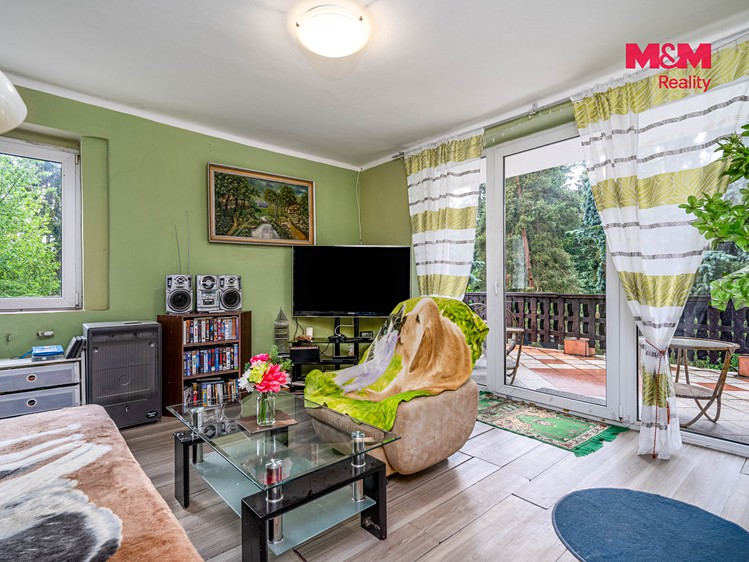 Prodej domu, 370 m² (6 z 17)