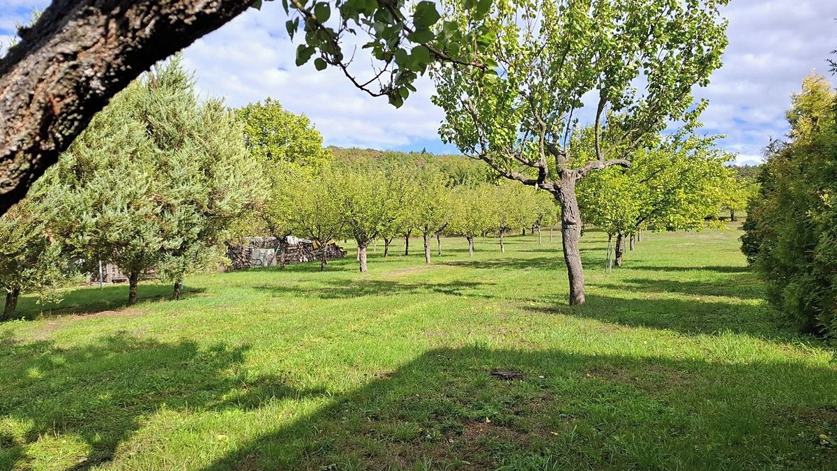 Prodej rodinného domu 240 m², pozemek 2472 m² – fotografie 5