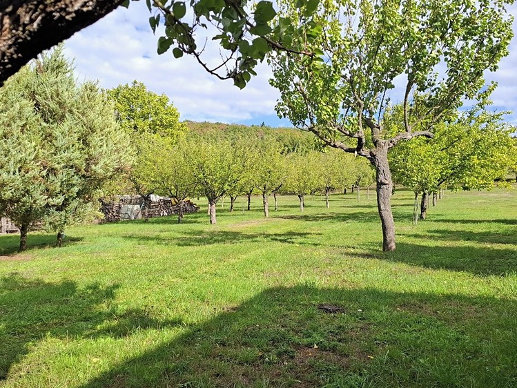 Ostatní