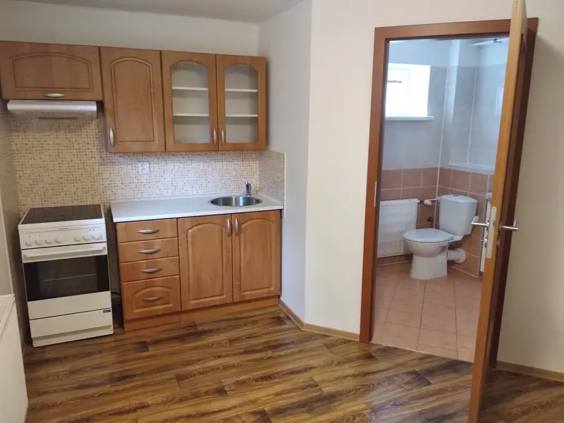 Pronájem bytu 2+kk 28 m², Kadaň – náhled fotky 2