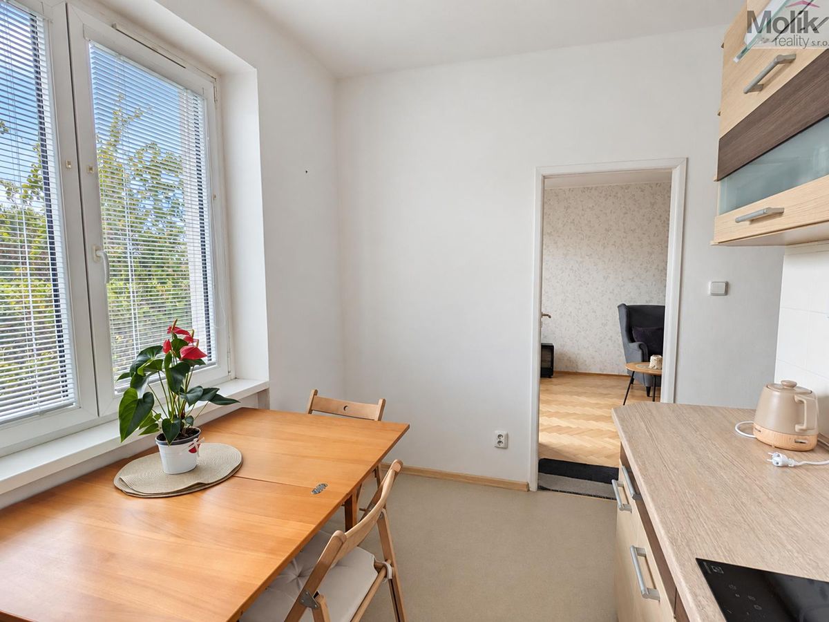 Pronájem bytu 2+1 49 m² – fotografie 4