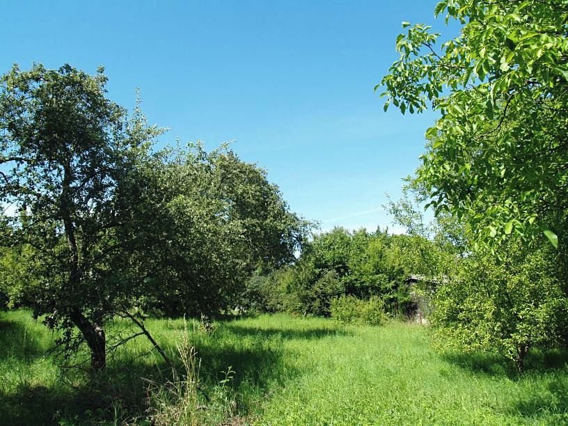 Prodej stavebního pozemku 1635 m² – fotografie 4