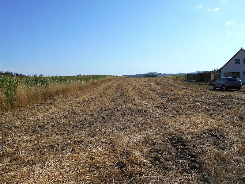 Prodej stavebního pozemku 4931 m², Březejc – náhled fotky 2