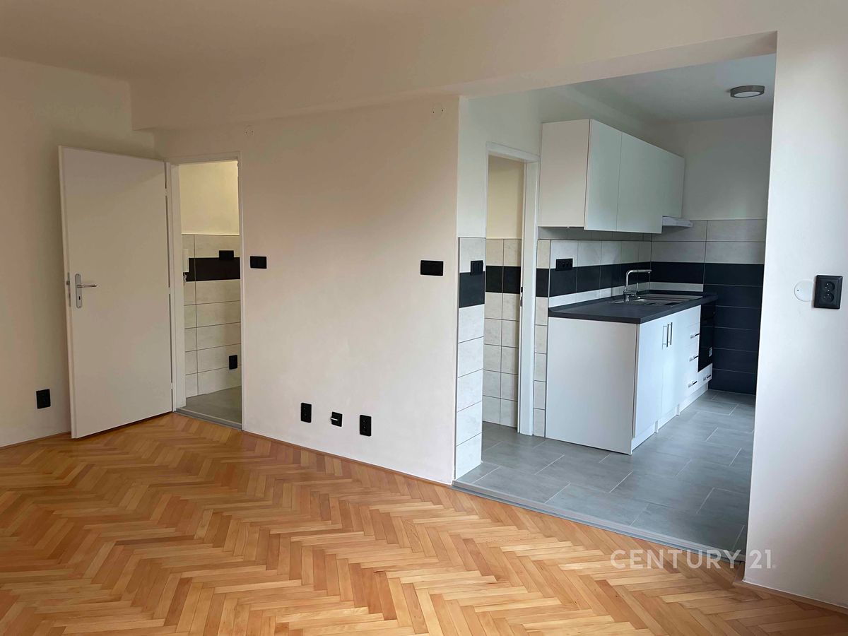 Pronájem bytu 1+1 38 m² – fotografie 5