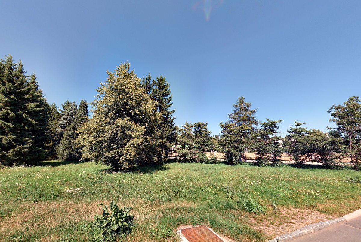 Prodej pozemku 3292 m² – fotografie 4