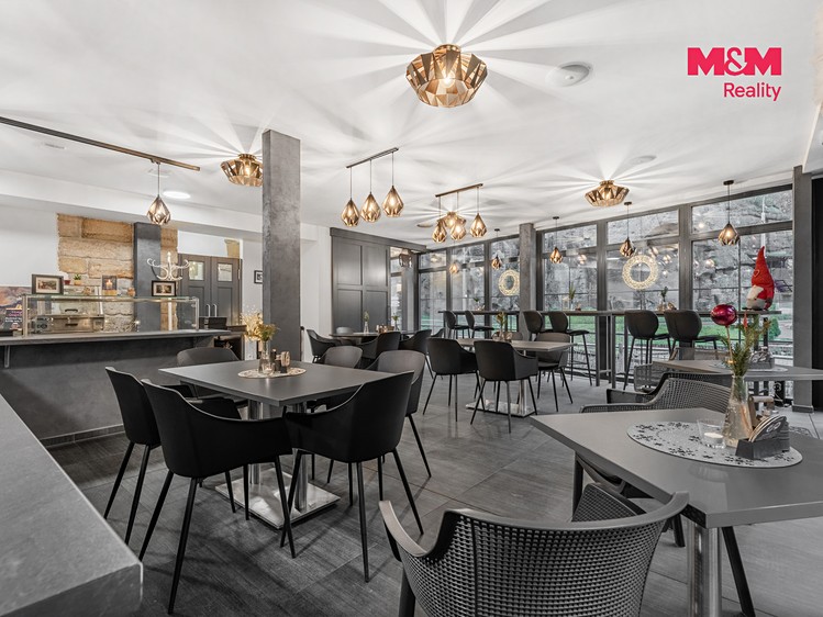 Prodej komerčního prostoru, 300 m² (5 z 30)