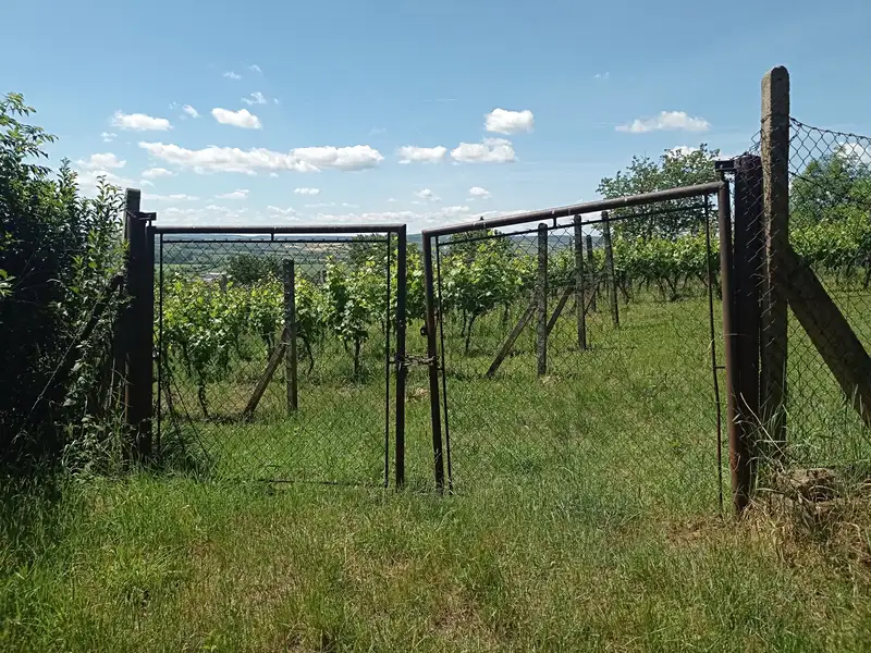 Prodej komerčního pozemku 3460 m², Mikulov – náhled fotky 3