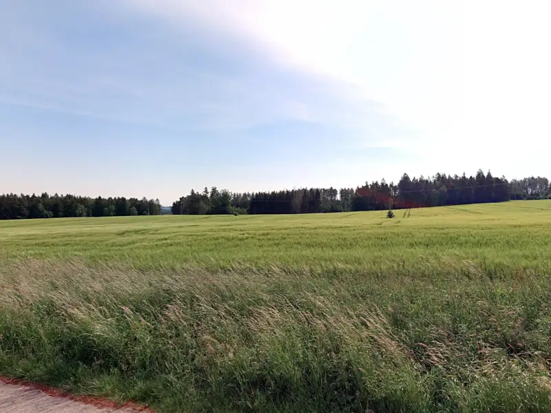 Prodej pole 9679 m², Lukavec – náhled fotky 1