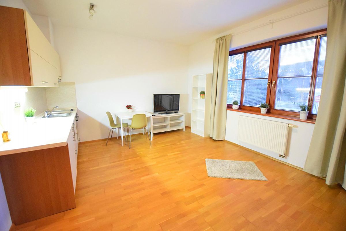 Pronájem bytu 1+kk 36 m² – fotografie 4