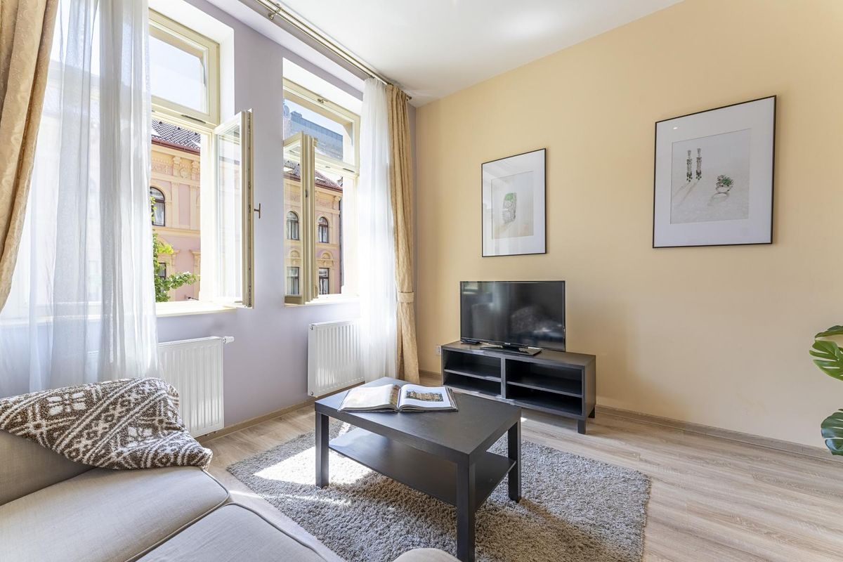 Pronájem bytu 1+1 40 m² – fotografie 4