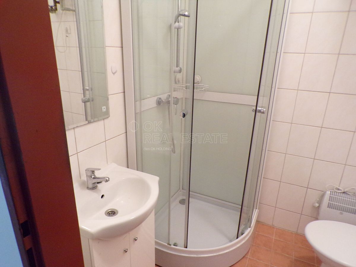 Pronájem bytu 1+kk 30 m² – fotografie 5