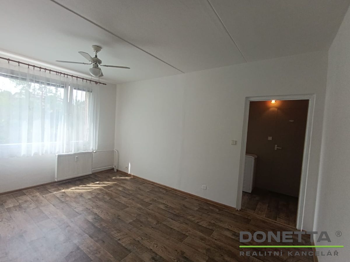 Pronájem bytu 1+1 35 m² – fotografie 4