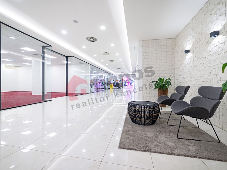 Pronájem komerčního prostoru, 77 m² (3 z 17)
