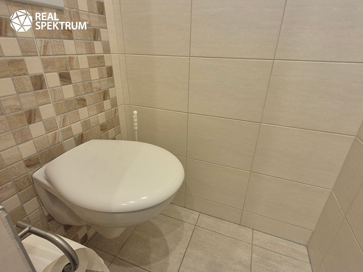 Wohnung 1+1 zur Miete, 32 m² (10 von 11)