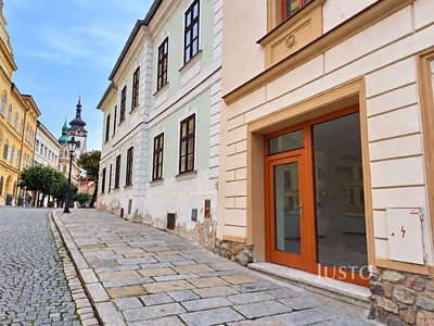 Pronájem obchodního prostoru 21 m²