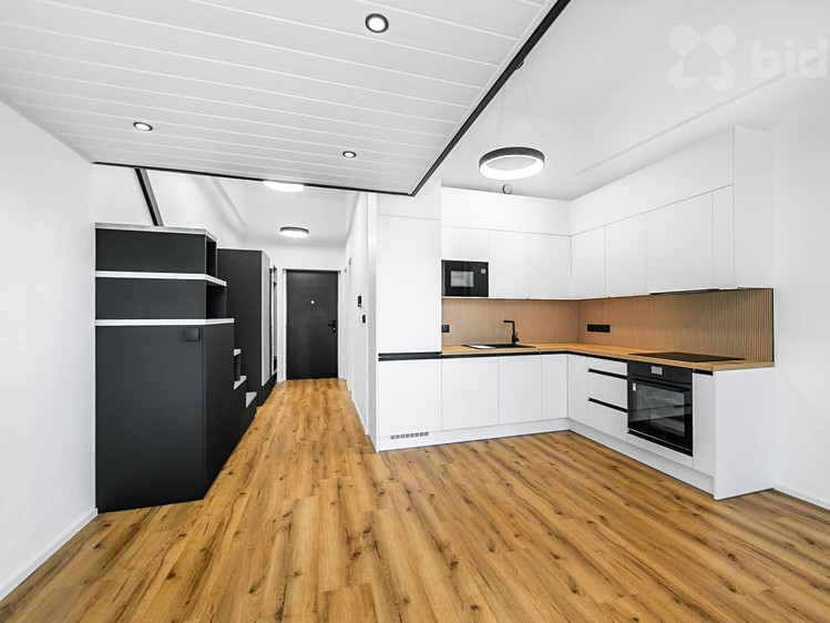 Wohnung 1+kk zur Miete, 38 m² (1 von 12)
